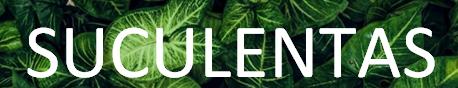 hhg